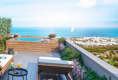 2-1 Loft Penthouse  Roof Top 02