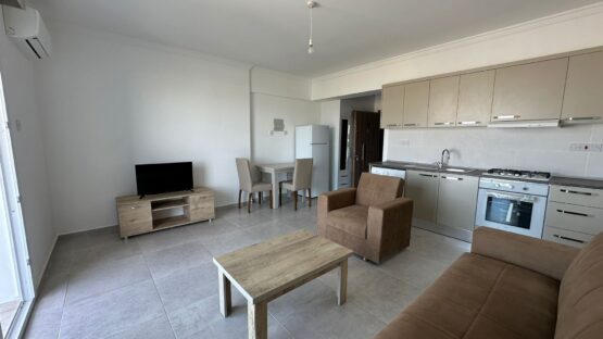 PHOTO-2024-03-26-16-50-08 2